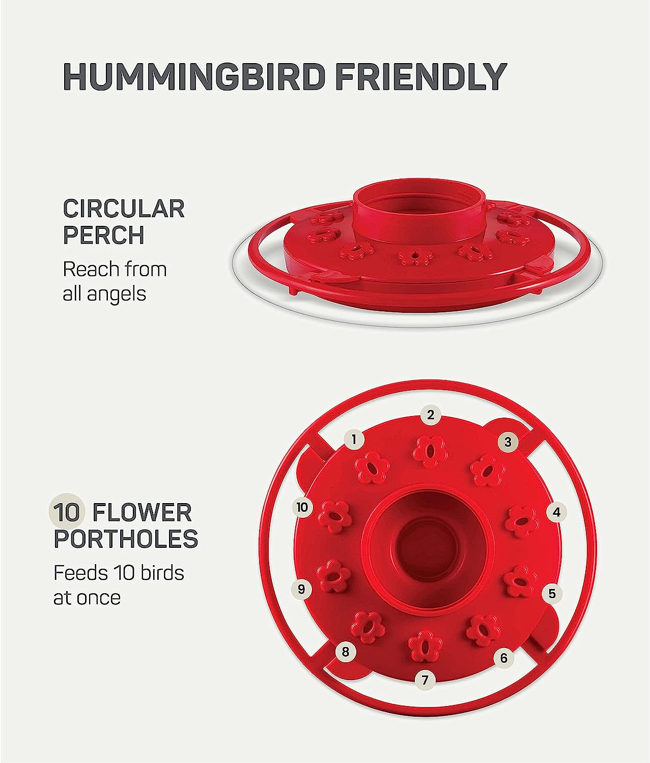 16 OZ Nutriente per Colibrì
