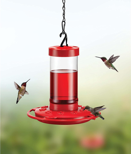 16 OZ Nutriente per Colibrì