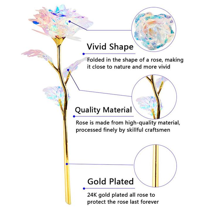 Rosa Galassia Placcata in Oro Rosa 24k - Supporto Luce o Espositivo Opzionale, Durevole nel Tempo