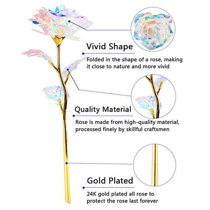 Rosa Galassia Placcata in Oro Rosa 24k - Supporto Luce o Espositivo Opzionale, Durevole nel Tempo