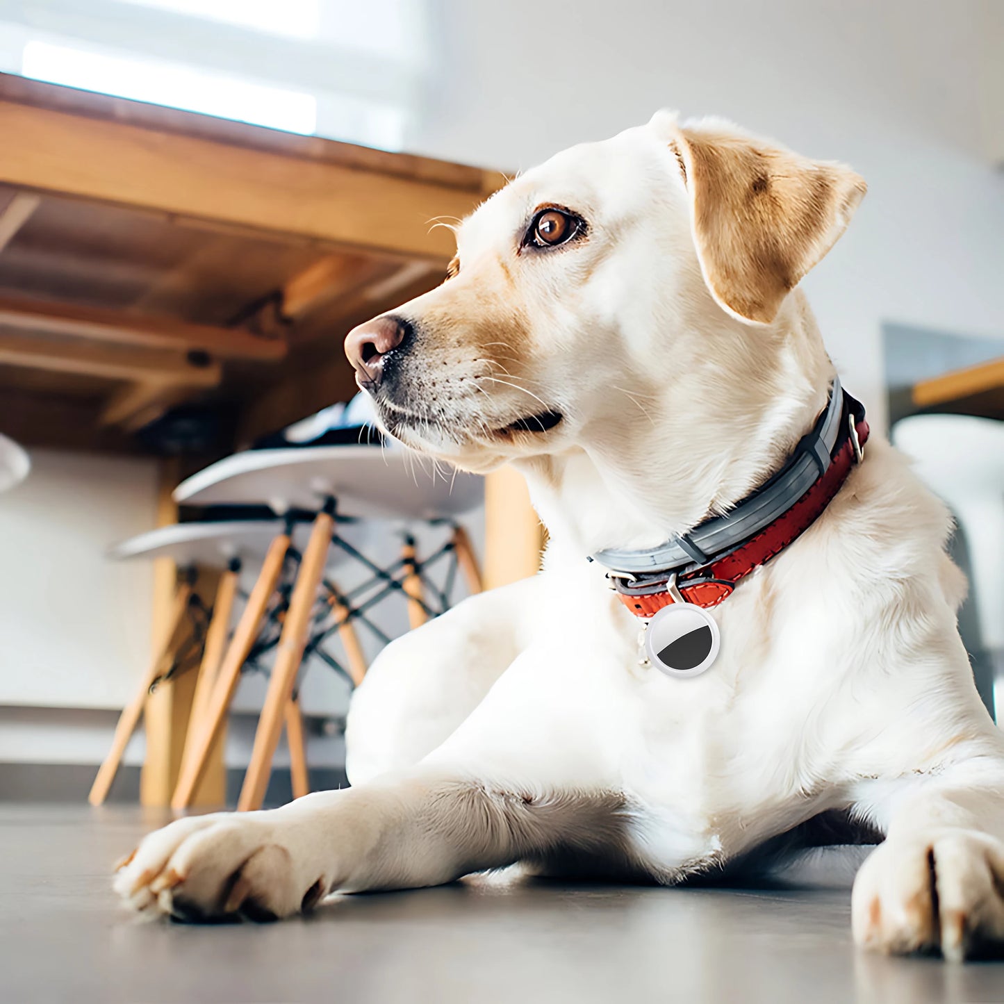 Mini GPS Tracker - Localizzatore GPS Anti-Smarrimento per Chiavi e Animali