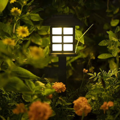 Confezione da 12 Luci Solari per Percorsi Esterni